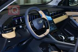 جیلی ستارەی